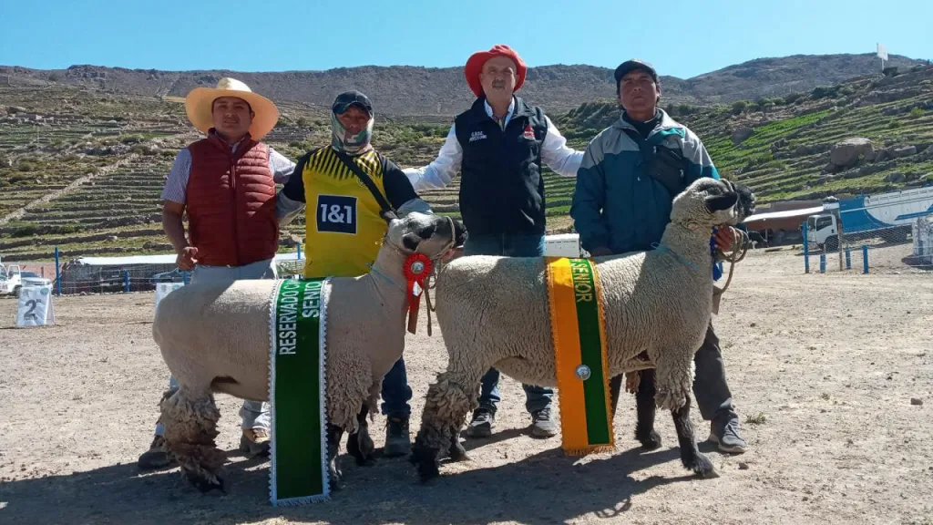 Jurado de Lujo desde Argentina